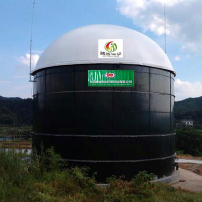 Odpady spożywcze Mały balon biogazowy Biogaz do instalacji konwersji CNG