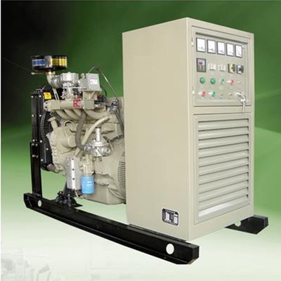 Alternatywny generator biogazu o mocy 100 kW Domowy generator elektryczny na biogaz