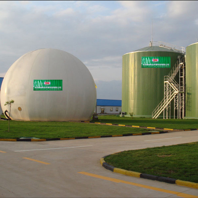 Biodigester Bio Gas Elektrownia Produkcja biogazu z krowiego łajna
