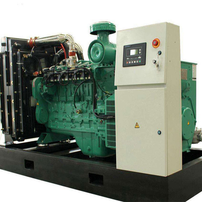 Niestandardowy generator energii elektrycznej z biopaliwem
