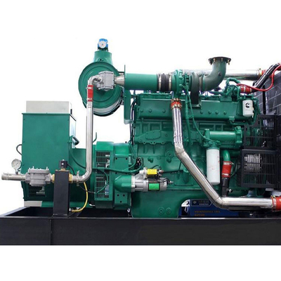 Niestandardowy generator energii elektrycznej z biopaliwem