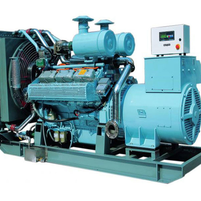 Niestandardowy generator energii elektrycznej z biopaliwem
