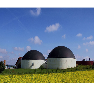 Zbiornik do usuwania odpadów organicznych w kurnikach do reaktora beztlenowego