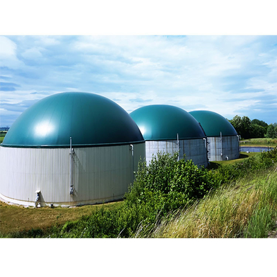 Zbiornik do usuwania odpadów organicznych w kurnikach do reaktora beztlenowego