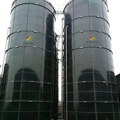 Biogaz EGSB Reaktor Przepływ w górę beztlenowej fermentacji osadu ściekowego do obornika drobiowego