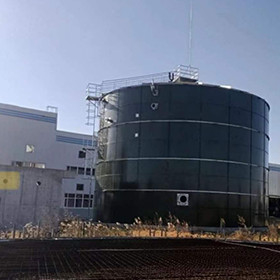 EGSB Reaktor anaerobowy Oczyszczanie ścieków Obornik Fermentator metanu