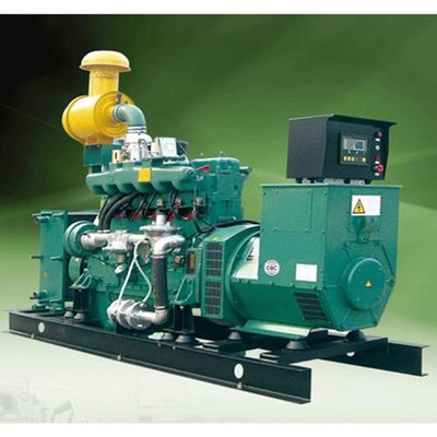 100KW Generatory napędzane biomasą Generator biogazu dla domu
