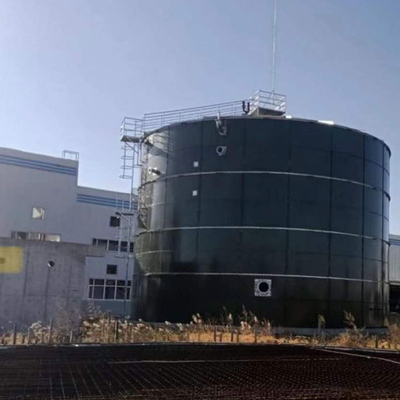 Projekt biogazowni UASB EGSB Komercyjna instalacja gazowa Gobar